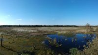 L&uuml;neburgerheide